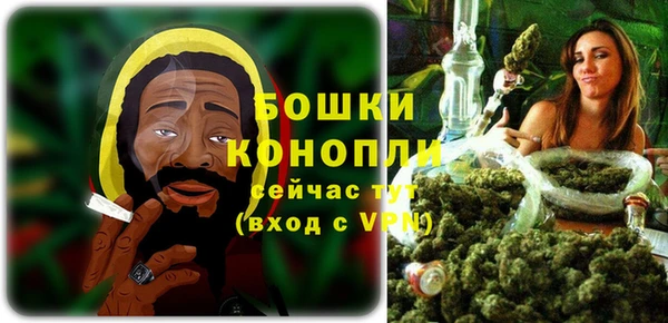 ГАЛЛЮЦИНОГЕННЫЕ ГРИБЫ Кулебаки