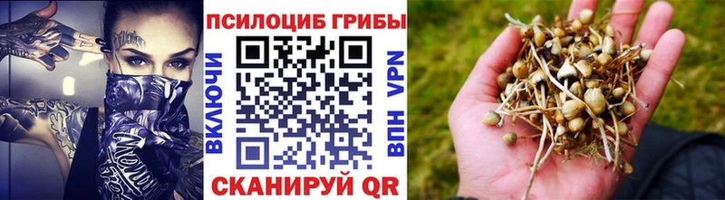 Галлюциногенные грибы Cubensis  купить   Фокино 